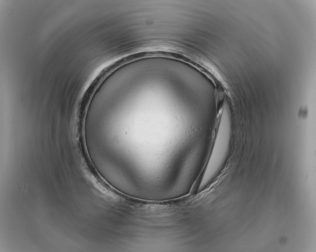 X0000096161116200802011249