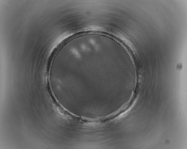 X0000096161117200802011249