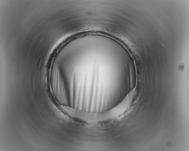 X0000096161118200802011249