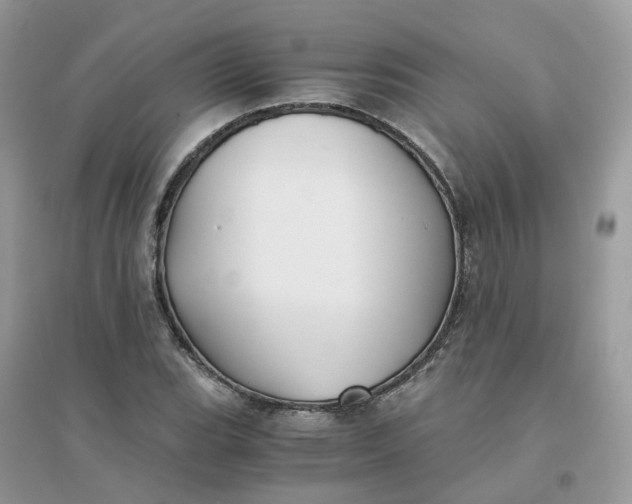 X0000096161119200802011249