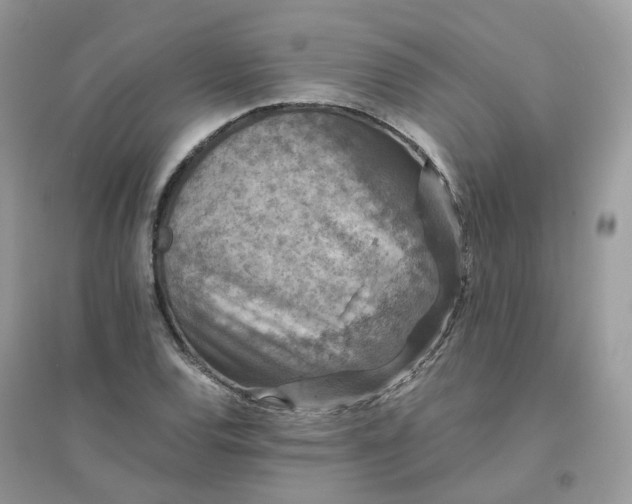 X0000096161120200802011249