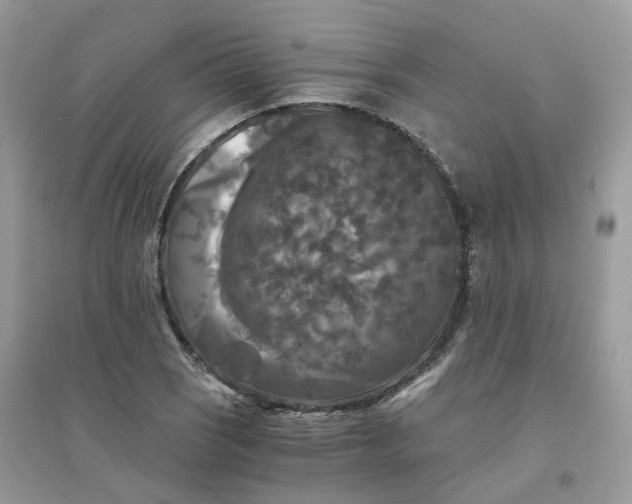 X0000096161121200802011249