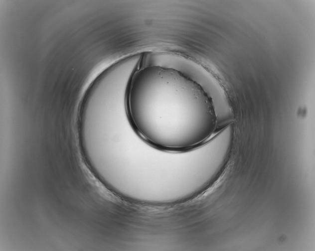 X0000096161122200802011249