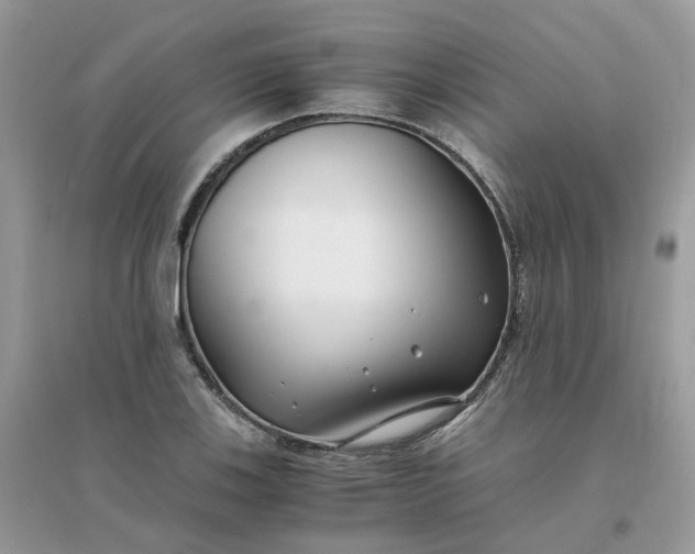 X0000096161123200802011249