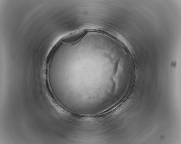 X0000096161124200802011249