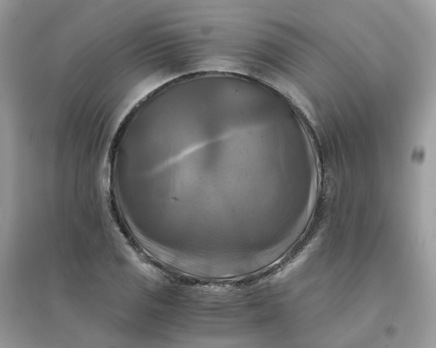 X0000096161125200802011249