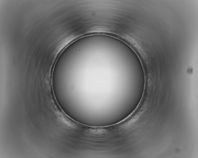 X0000096161129200802011249