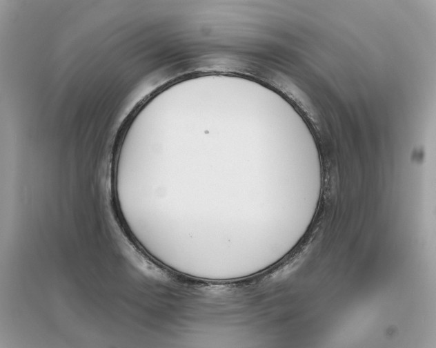 X0000096161130200802011249