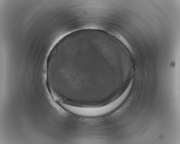 X0000096161132200802011249