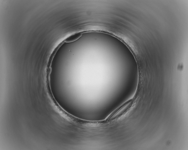 X0000096161134200802011249