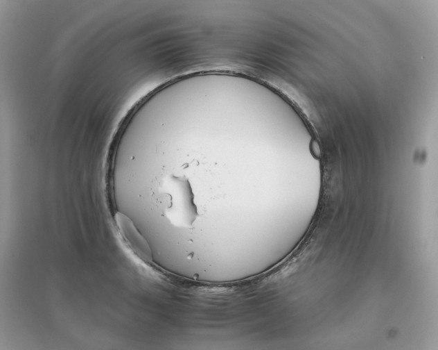 X0000096161135200802011250