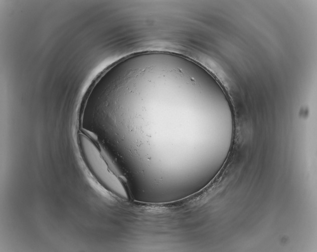 X0000096161136200802011250