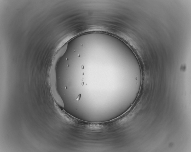 X0000096161137200802011250