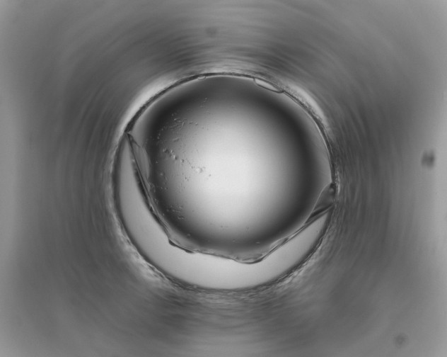 X0000096161138200802011250