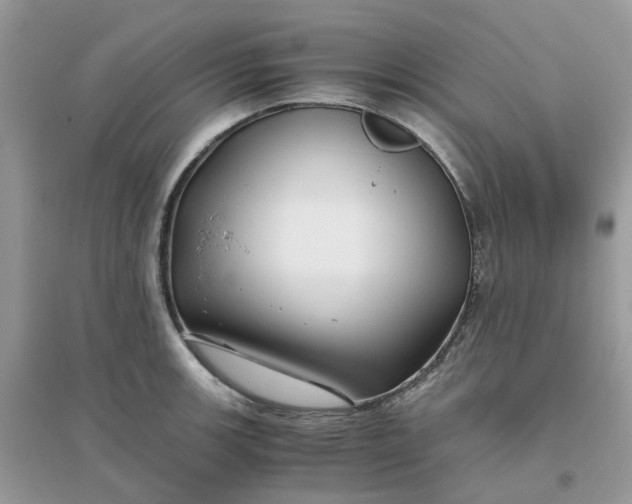 X0000096161139200802011250