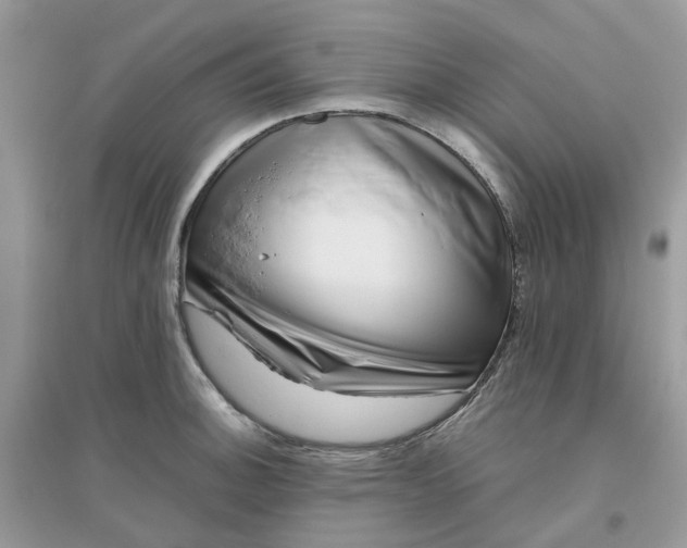 X0000096161140200802011250