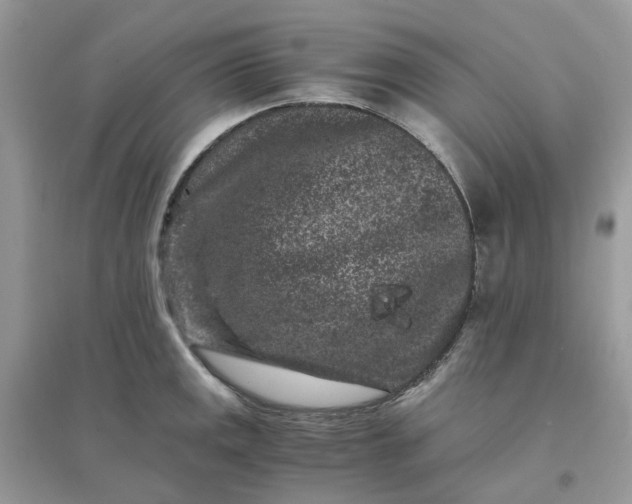 X0000096161141200802011250