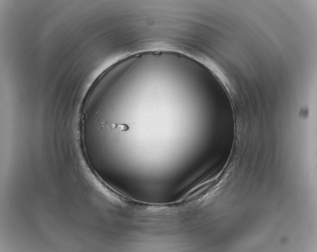 X0000096161142200802011250