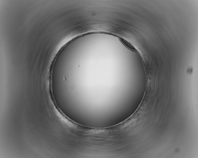 X0000096161143200802011250