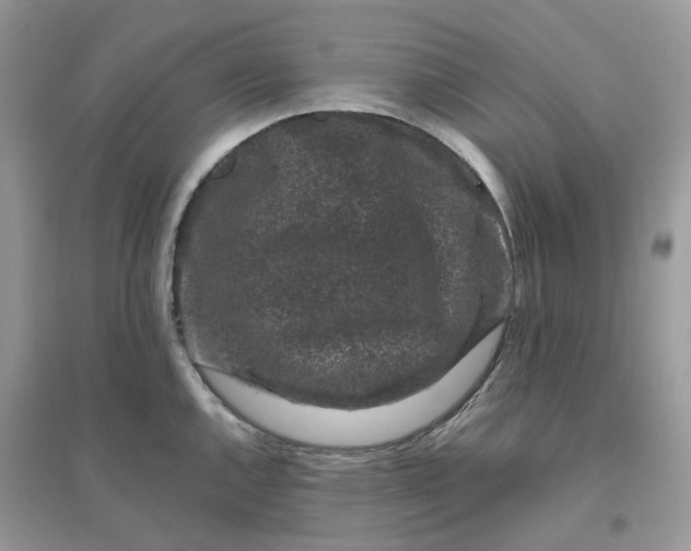 X0000096161144200802011250