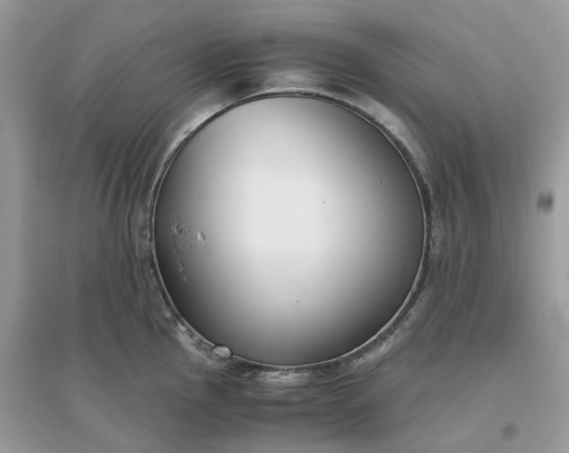 X0000096161145200802011250