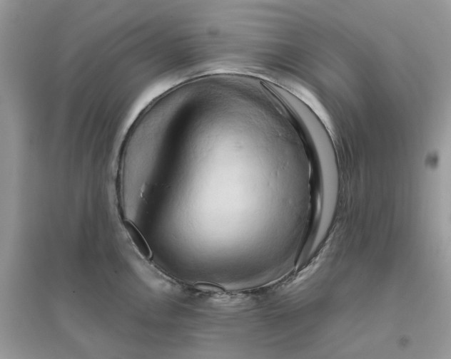 X0000096161146200802011250