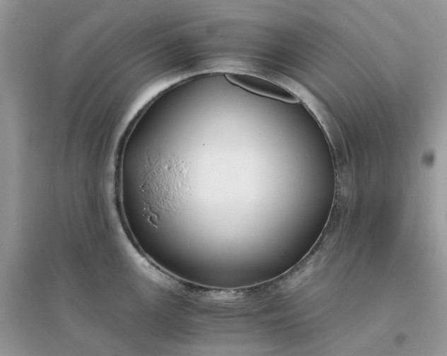 X0000096161147200802011250