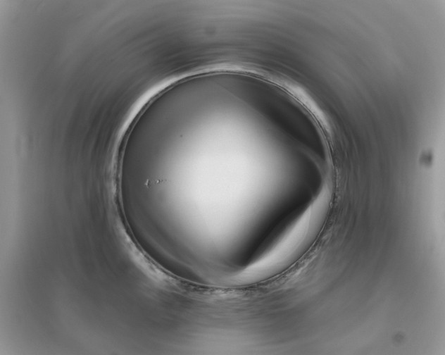 X0000096161148200802011250