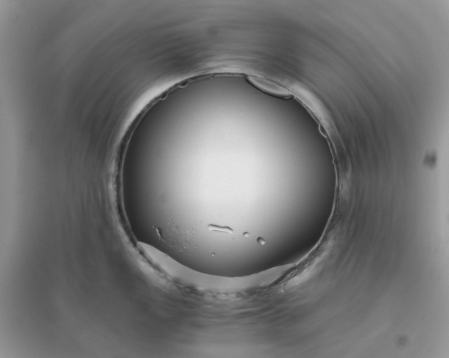 X0000096161149200802011250