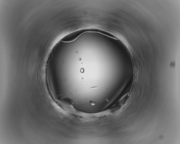 X0000096161151200802011250