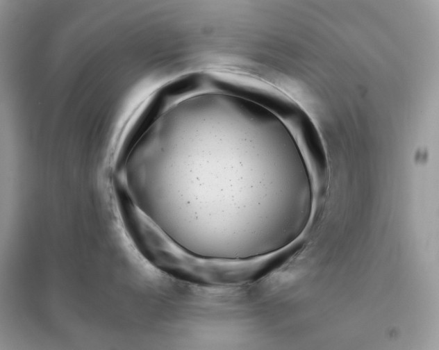 X0000096161152200802011250