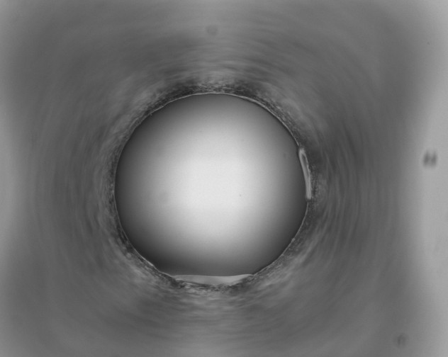 X0000096161153200802011249