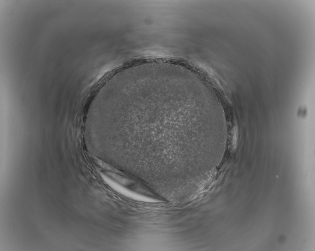 X0000096161157200802011249