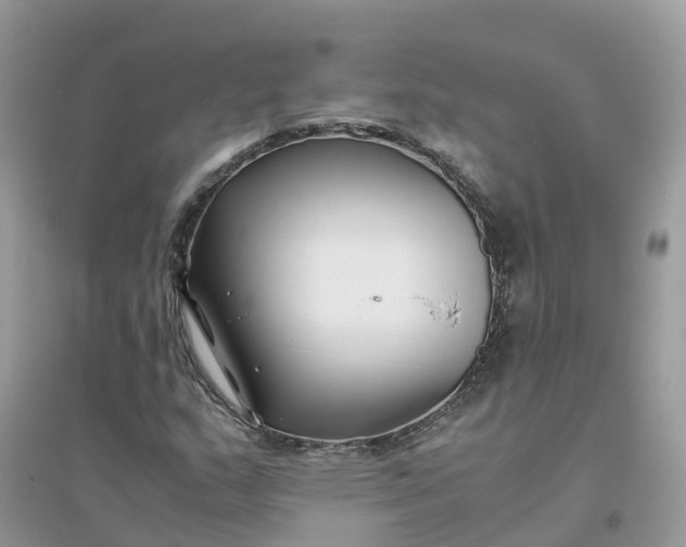 X0000096161159200802011249