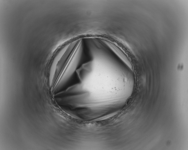 X0000096161160200802011249