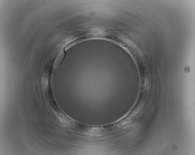 X0000096161161200802011249