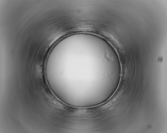 X0000096161162200802011249