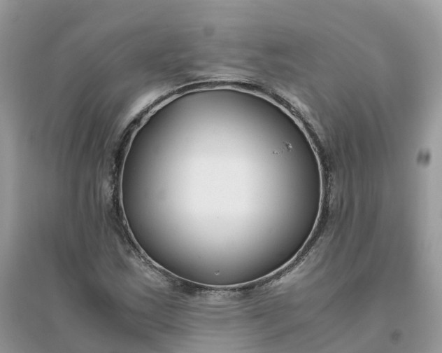 X0000096161163200802011249