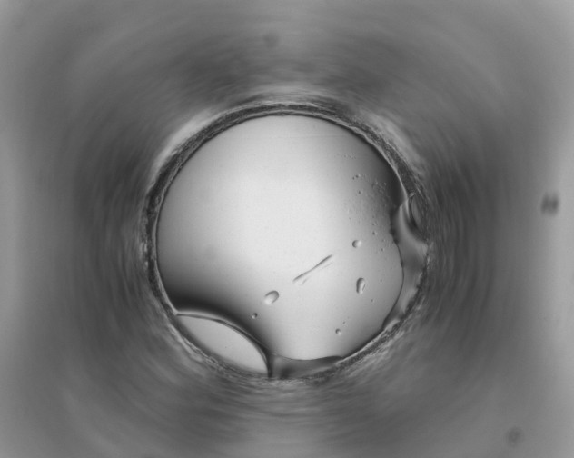 X0000096161164200802011249