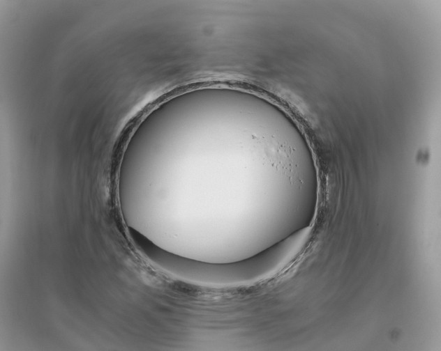 X0000096161165200802011249