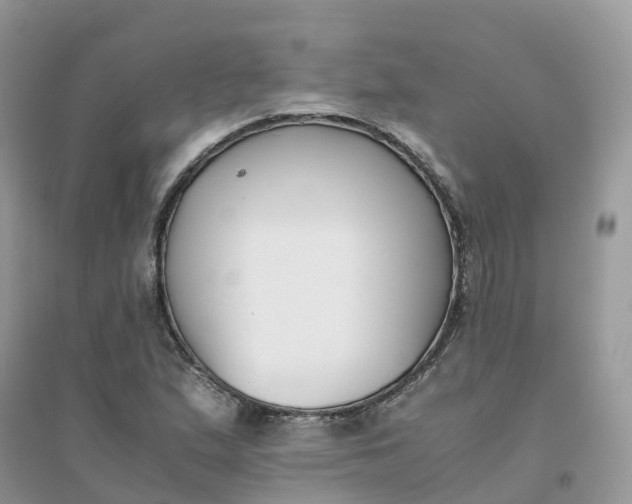 X0000096161167200802011249