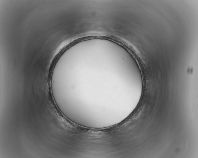 X0000096161168200802011249