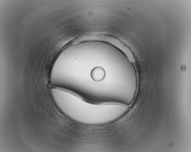 X0000096161169200802011249