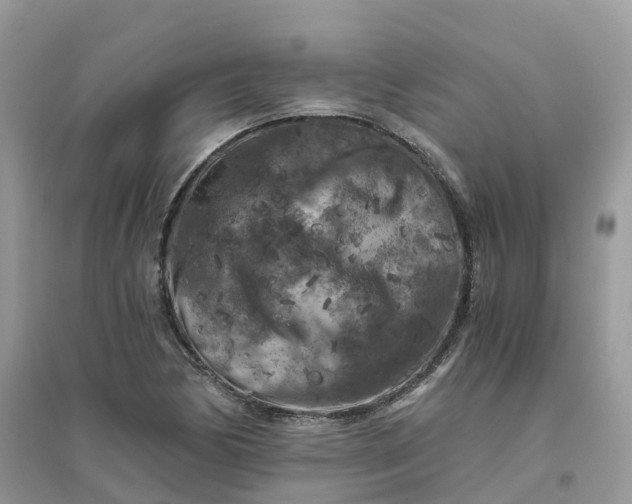 X0000096161170200802011249