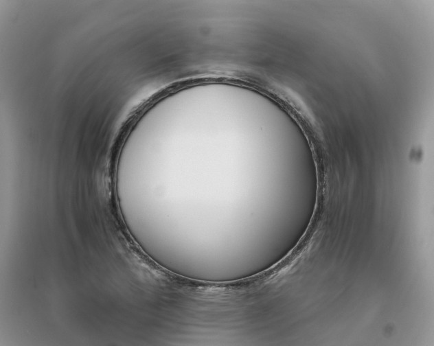 X0000096161172200802011249