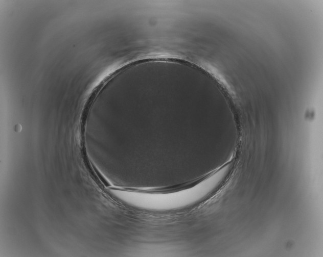 X0000096161173200802011249