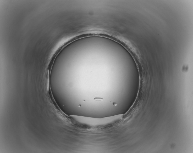 X0000096161175200802011249