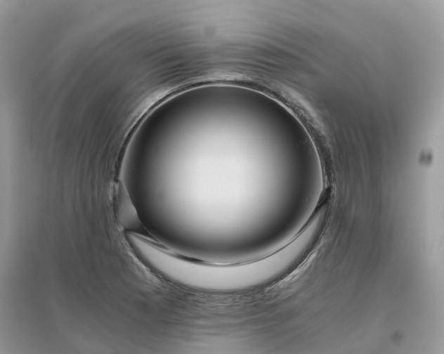 X0000096161177200802011249