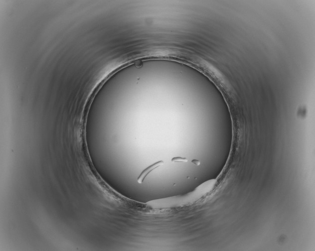 X0000096161178200802011249