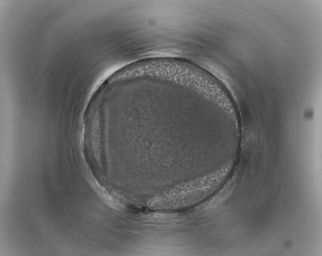 X0000096161179200802011249